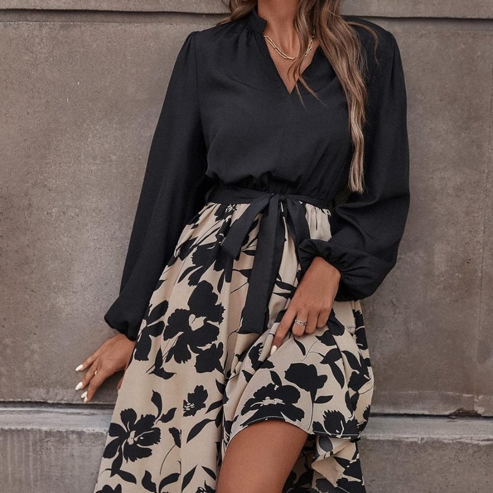 Women Graphic Floral Print multi color Dress